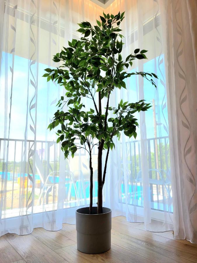 Eksclusive Apartment Paradise Down Town 6 Persons 3 Rooms Krakau Exterior foto